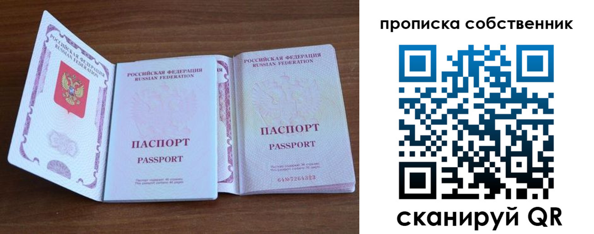 регистрация в Пугачёве